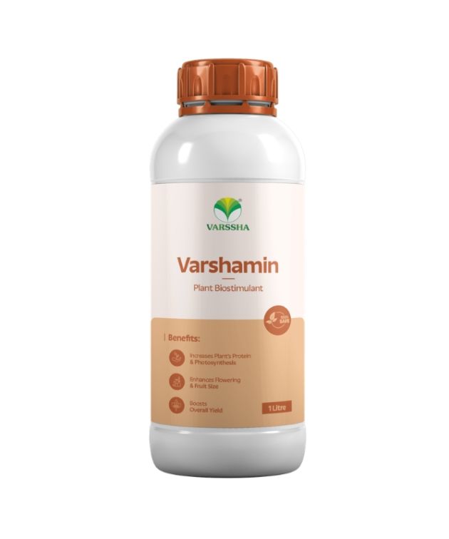 VARSHAMIN - Amino acids and Cereal proteins