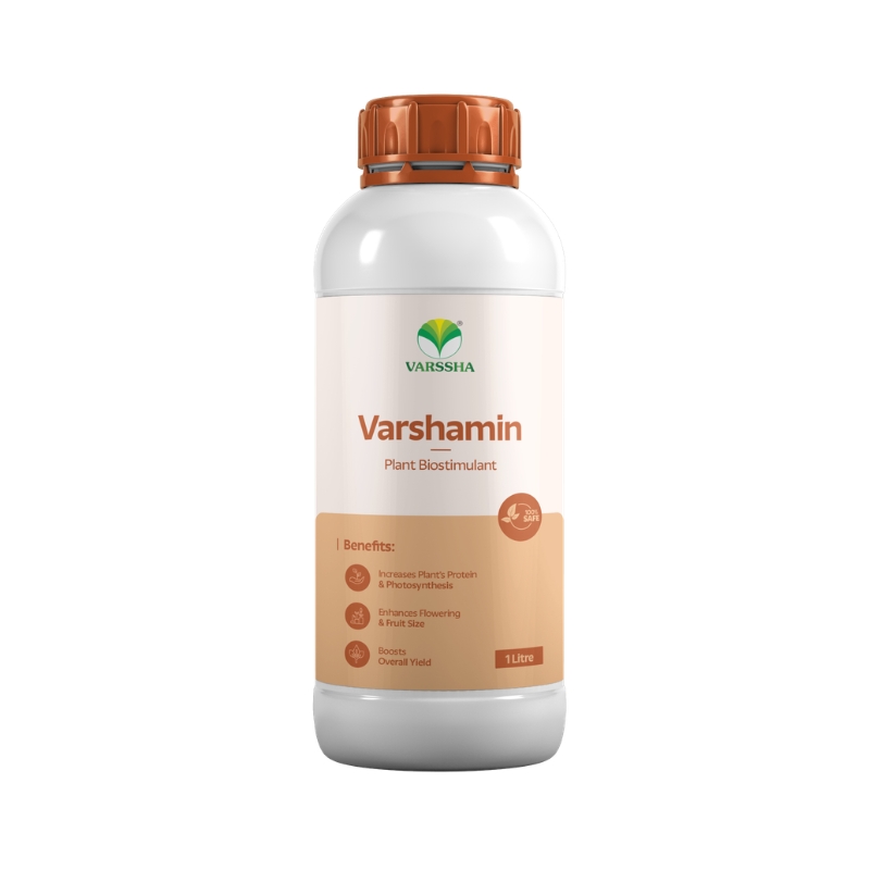VARSHAMIN - Amino acids and Cereal proteins