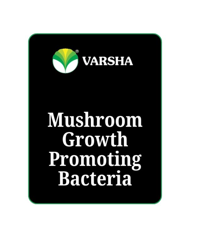 Mushroom Growth Promoting Bacteria