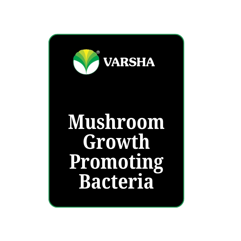 Mushroom Growth Promoting Bacteria